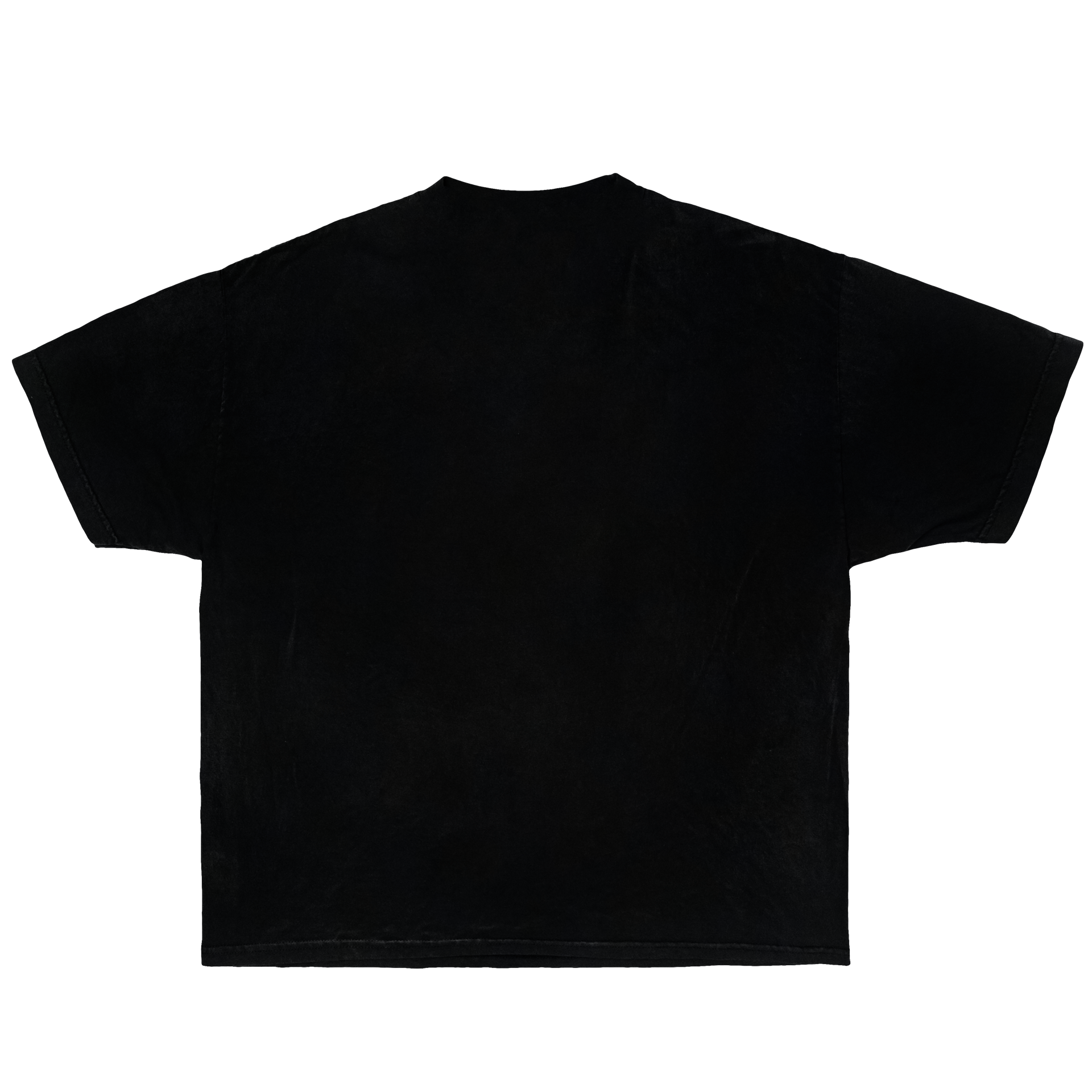 Aaliyah Vintage Graphic T-Shirt Black – Queen of R&B Bootleg Boxy Oversized Y2K Streetwear Tee